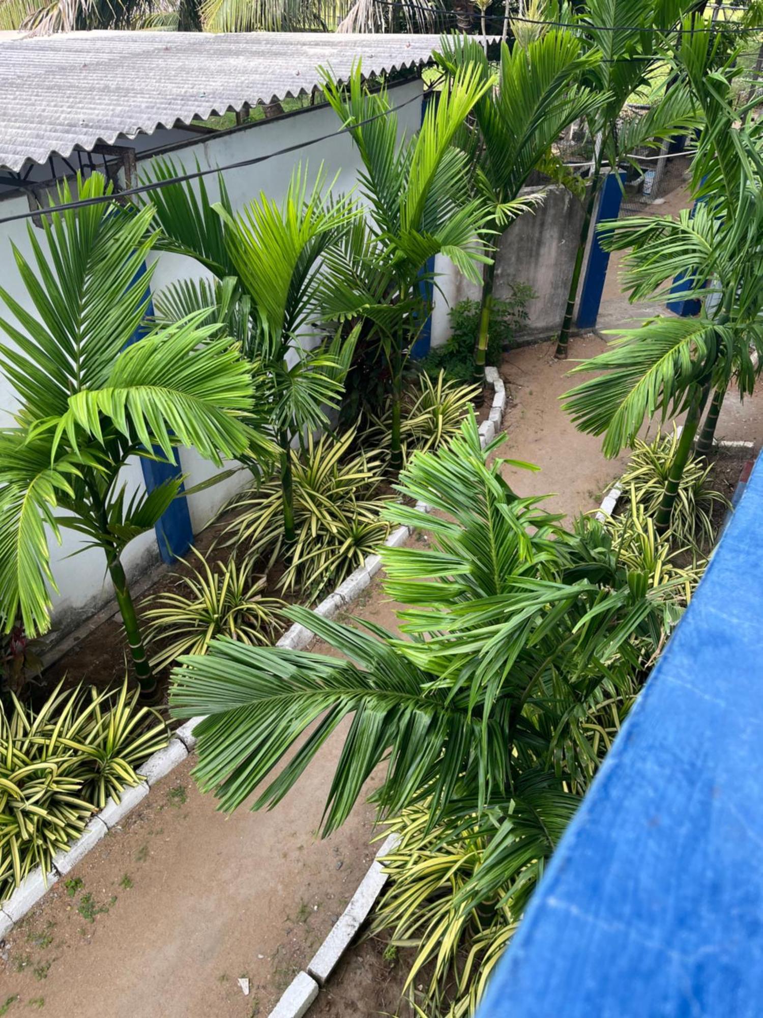 Oasis Wings Hotel Mannar Buitenkant foto